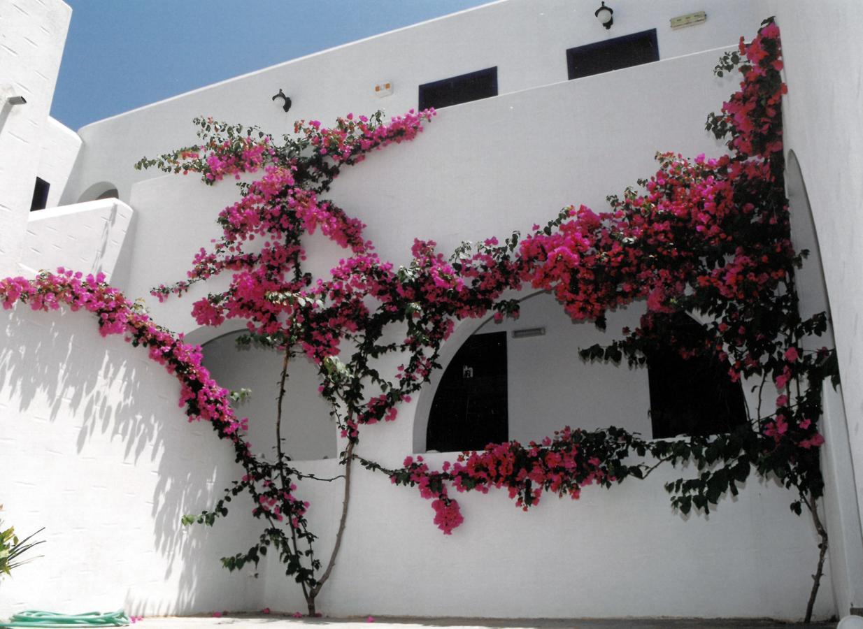 酒店 San Antonio Summer House